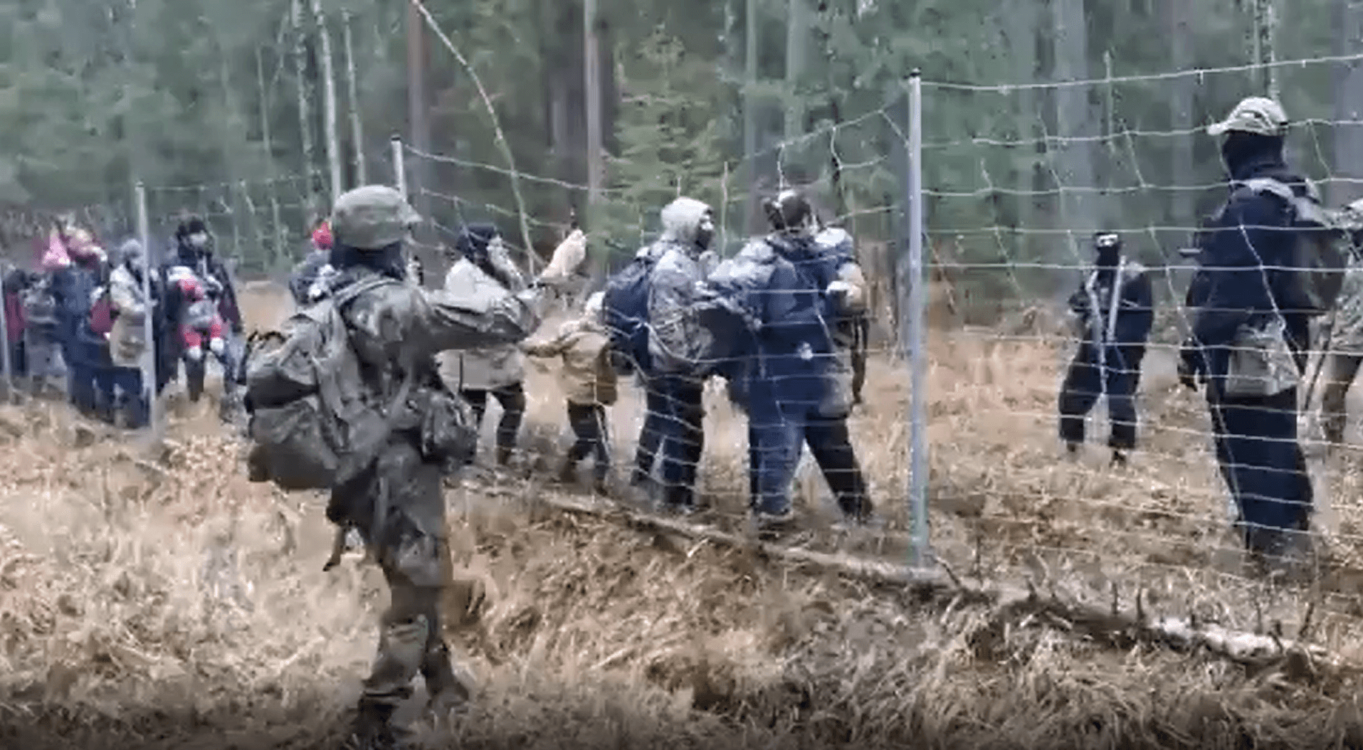 Libereco’s statement on the human rights violations on the Belarusian-Polish border