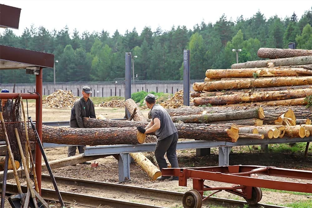 We demand an independent investigation into greenwashing by FSC in Belarus